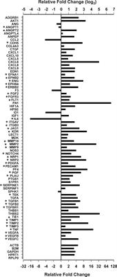 Sprouting Angiogenesis in Human Pituitary Adenomas